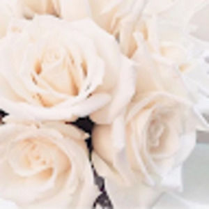 Meet your Posher, Paola